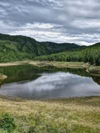 Fresh Air and Forest Trails at Taipingshan Forest Recreation Area