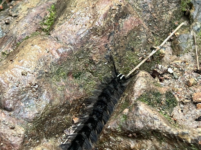 🌄 登上KK山的絕美旅程！