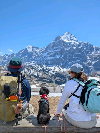 How many mountains can you scale in Switzerland?