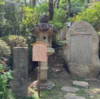 Tokyo｜Keio Mogusaen – Edo Garden Charm Through the Seasons 🌸🍁