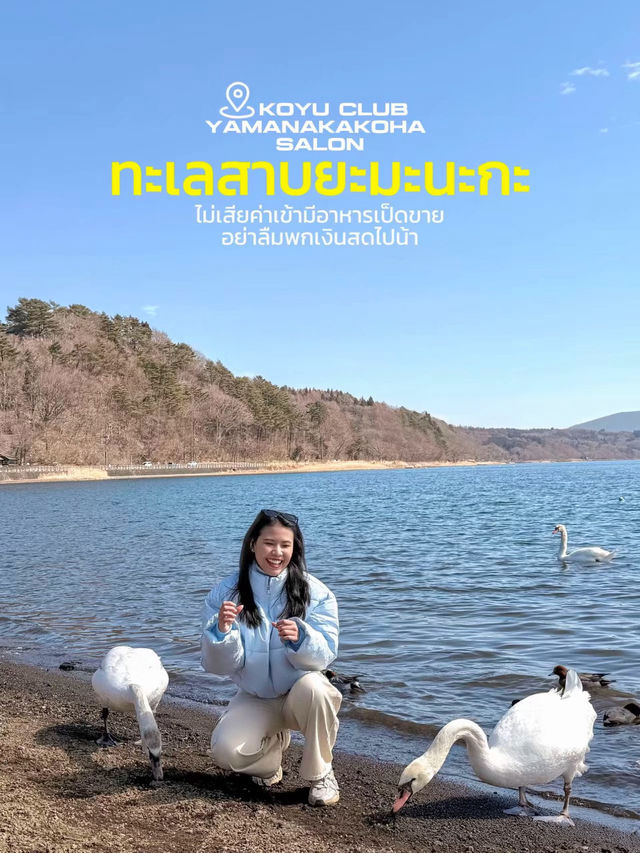 ฟูจิครั้งแรก #เก็บครบใน 2 คืน 3 วัน
