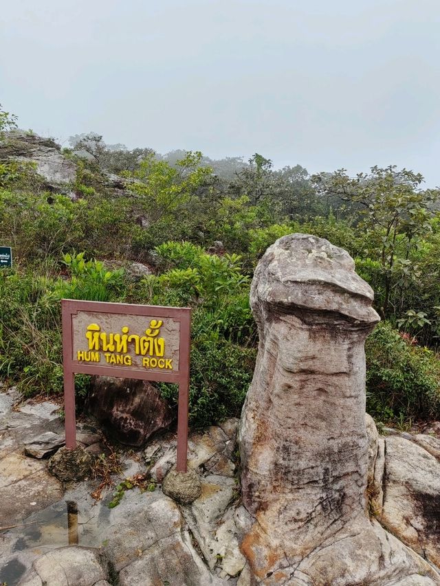 ป่าหินงาม แดนหินสวยรูปทรงอัศจรรย์