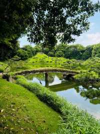 【清澄庭院｜東京深巷裡的幽靜庭園】
