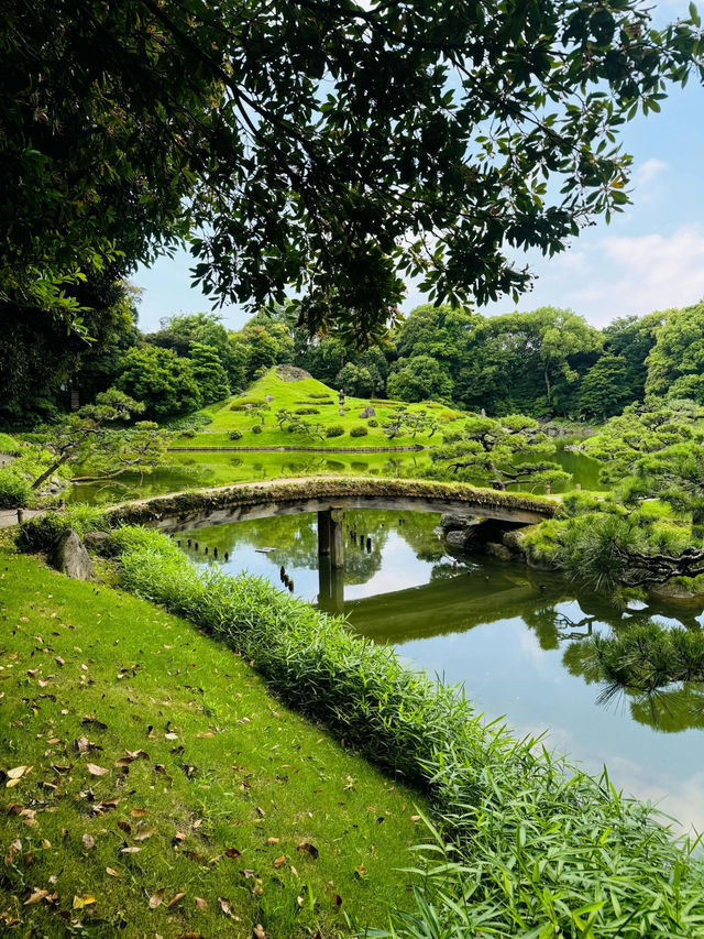 【清澄庭院｜東京深巷裡的幽靜庭園】