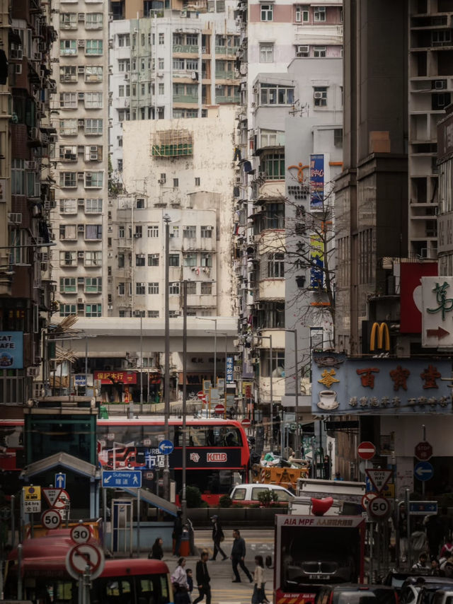 🍜🛍️ Mong Kok Madness — Where Hong Kong Truly Comes Alive! 🌆🔥