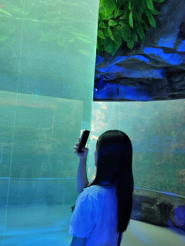📍여수 만성리 검은모래해변&아쿠아플라넷🐠🐬✨