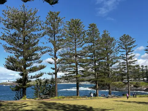 Sydney 11-Day Travel Guide for a Long Holiday