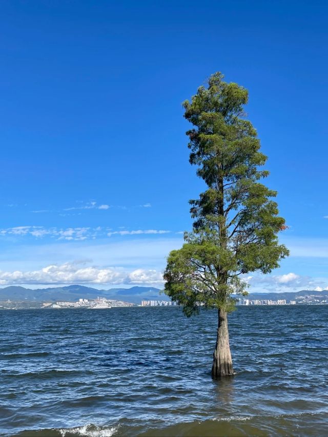 Where the Sky Falls into the Lake: Discovering Erhai