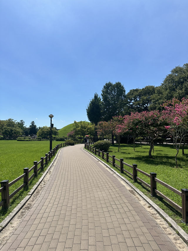 여름 경주 꼭 가야할 핫스팟 🌺🩷