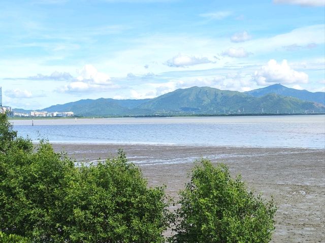 深圳｜深圳灣公園