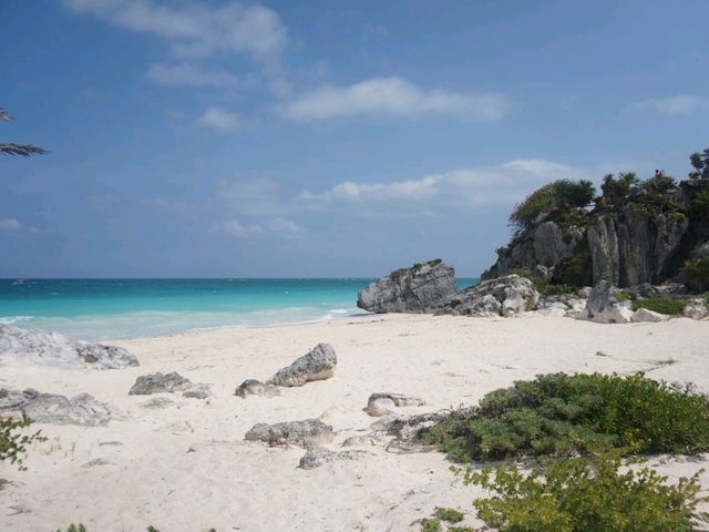 🇲🇽 멕시코 툴룸(Tulum) 🌊🌴