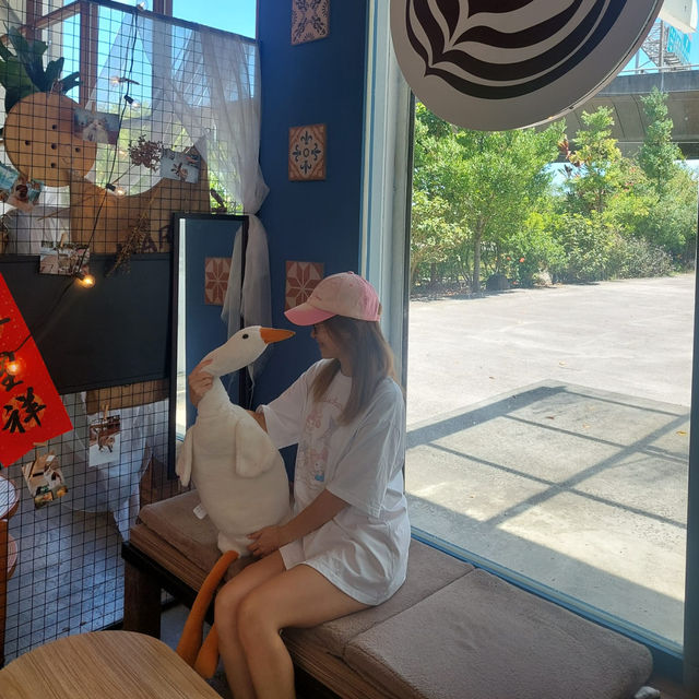 【台灣宜蘭】After Coffee🐱巨型店貓坐鎮 【台灣宜蘭】After Coffee🐱巨型店貓坐鎮
