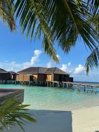 🇲🇻 Lily Beach Maldives Guide 🌴🏖️