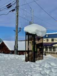 🌨️ 홋카이도 여행, 삿포로와 함께 즐기는 겨울 낭만 ❄️🎿