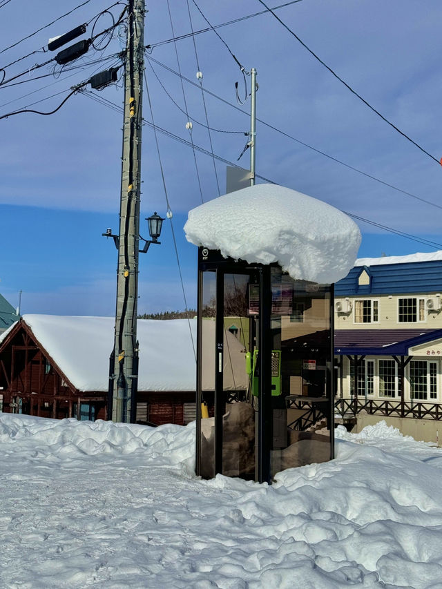 🌨️ 홋카이도 여행, 삿포로와 함께 즐기는 겨울 낭만 ❄️🎿