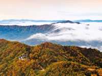 팔공산 – 대구의 진산