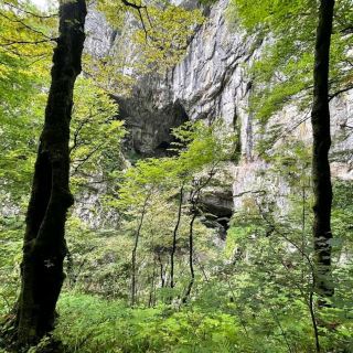 Škocjan Caves Park