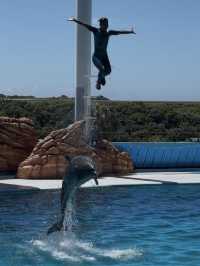 🇯🇵 Shirahama Adventure World Zoo Day🦒