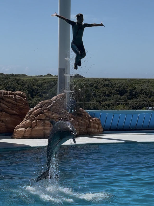 🇯🇵 Shirahama Adventure World Zoo Day🦒 🇯🇵 Shirahama Adventure World Zoo Day🦒