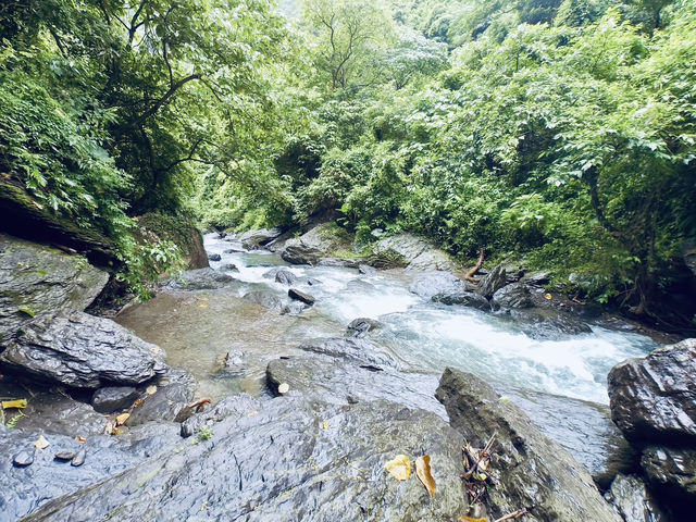 🌿「追隨水聲，一步步走進山林的心跳節奏。」
