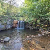 Charming Community Spirit in Clydach Vale, Rhondda Cynon Taff