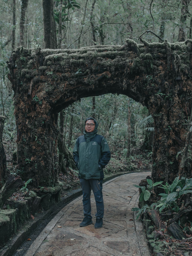 Mount Kinabalu Botanical Garden – A Hidden Gem at the Foot of the Mountain