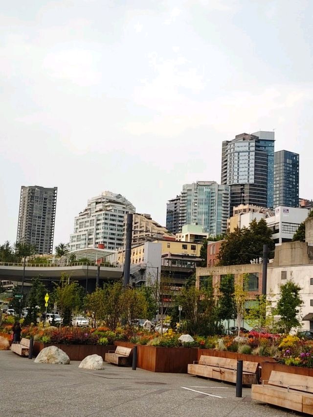 西雅圖城市的亮點❣️：Seattle Great Wheel