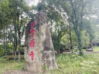 武夷山+雲水謠+廈門之旅十天九夜呼朋引伴