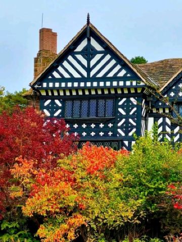 บ้านสวยและเป็นธรรมชาติ ตั้งอยู่ในสวนที่ได้รับการดูแลอย่างดี เสียดายที่สนามบินอยู่ใกล้มาก แต่ก็ไม่ได้ทำให้เราหยุดสนุกได้ แถมยังทำให้เด็กๆ สนุกไปด้วย