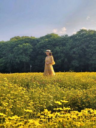 Autumn Flower Scents in Gyeongnam Hamyang