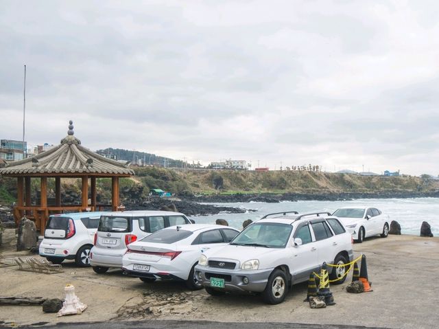 🇰🇷 제주 애월 봄날카페 & 산책로 🌊🌿