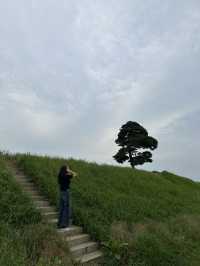 🌳 청주 정북동토성, 드넓은 초원 위 인생샷 🌿