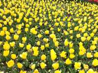 💐Floriade Day Part 1💐