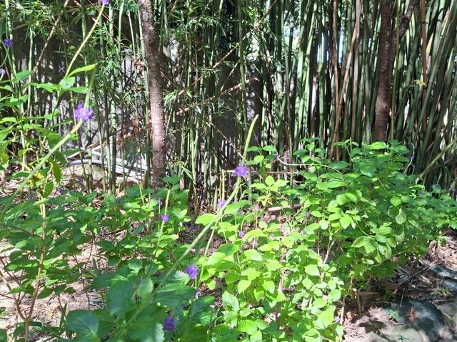 谷關遊客中心