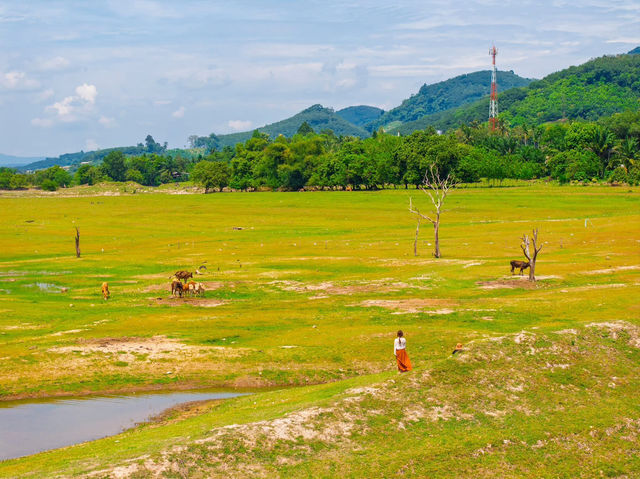 🌱🌾พิปูน นครศรีธรรมราช🌾🌱