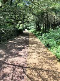 チェジュ島