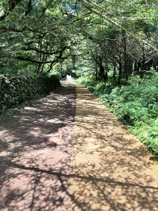 チェジュ島