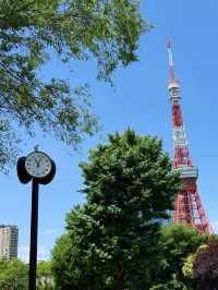 芝公園玫瑰園：都市綠洲中的芬芳秘境，邂逅四季浪漫