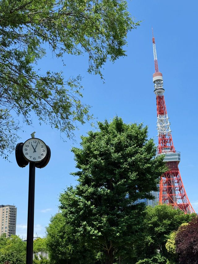 芝公園玫瑰園：都市綠洲中的芬芳秘境，邂逅四季浪漫