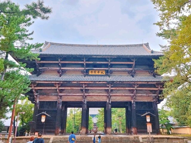 세계 최대 목조건축물을 만나다, 일본 나라 동대사