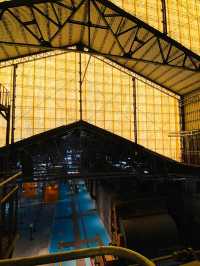 台版teamlab🎨 小孩愛瘋的沈浸式體驗 屏菸1936文化基地