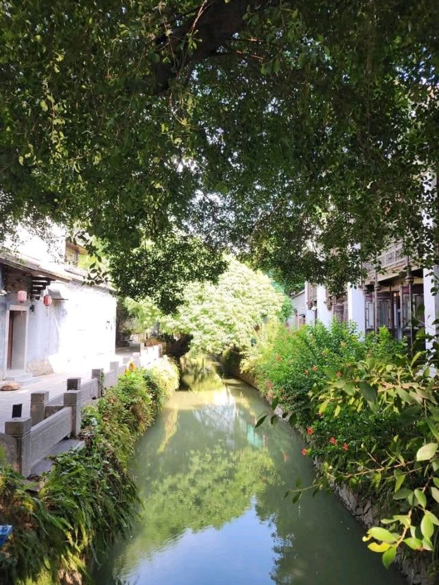 “Whispers of Water — The Charming Canals of Fuzhou”