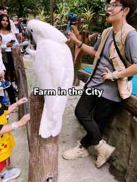 Farm In The City: Interactive Wildlife Experience for the Whole Family