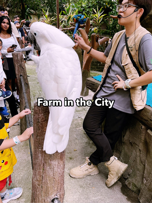 Farm In The City: Interactive Wildlife Experience for the Whole Family