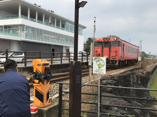 【富山・雨晴海岸】義経伝説が残る絶景スポット「義経岩」🌊⛰️
