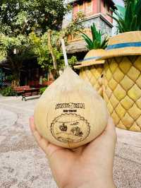 🌴 Slides, Beaches, and Smiles – Sun World Hon Thom