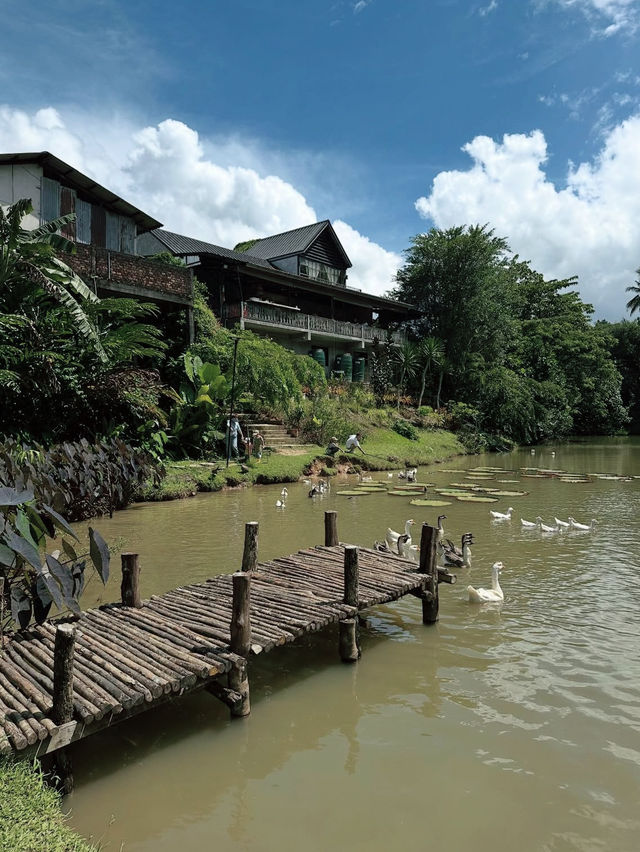 บ้านสวนก๋ง คาเฟ่ 