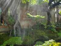 คาเฟ่เขียวขจีในเมืองเชียงใหม่