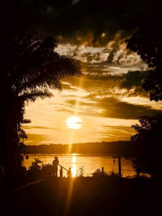 Peruvian Tropical Rainforest ‖ Amazon