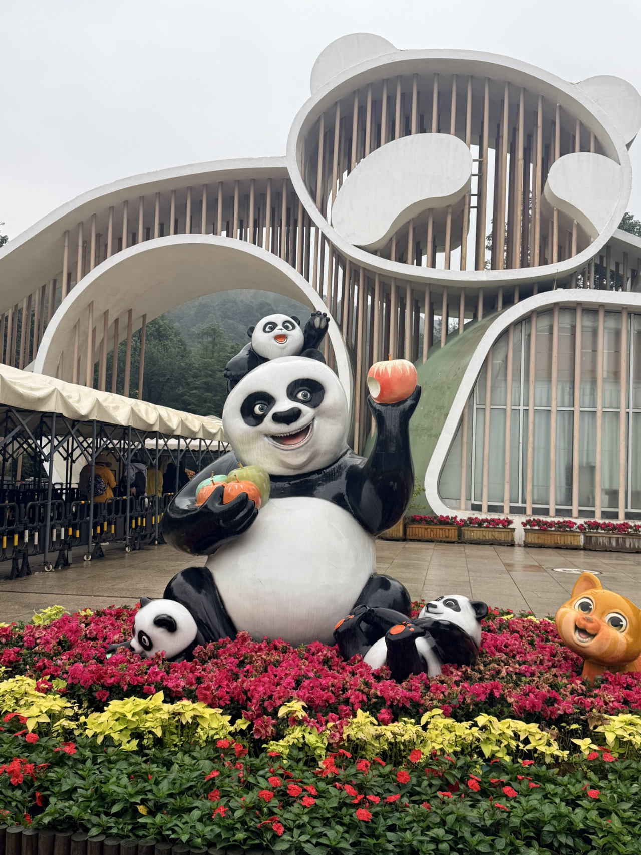 Here in Panda Valley in Dujiangyan, you'll find adorable pandas and red pandas waiting for you. If you meet them, you'll fall in love even more because they're truly adorable. The park isn't very large, but it's shady and a bit tiring to walk around, as the red pandas are at the furthest point in the park. Plus, they're shy and don't show their cuteness. I highly recommend visiting them if you're in the city. They're truly adorable!
How to get there: Take the DIDI train from the train station, it's not too far.
#panda #dujiangyan #travelchina #travelguide #travelchina